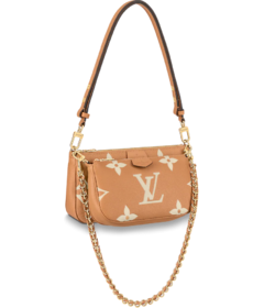 Louis Vuitton Multi Pochette Accessoires