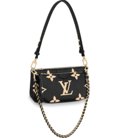 Louis Vuitton Multi Pochette Accessoires