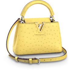 Louis Vuitton Capucines Mini