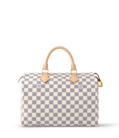 Louis Vuitton Louis Vuitton Speedy 30