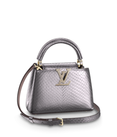 Louis Vuitton Louis Vuitton Capucines Mini