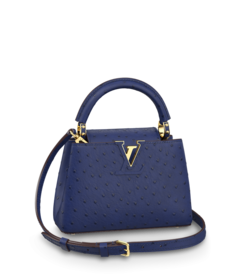 Louis Vuitton Louis Vuitton Capucines Mini