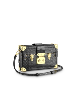 Louis Vuitton Louis Vuitton Petite Malle