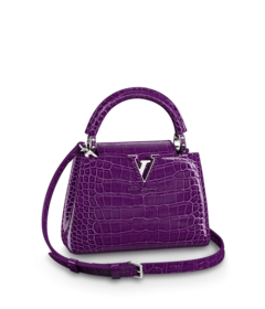 Louis Vuitton Louis Vuitton Capucines Mini