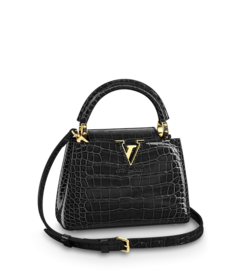 Louis Vuitton Louis Vuitton Capucines Mini