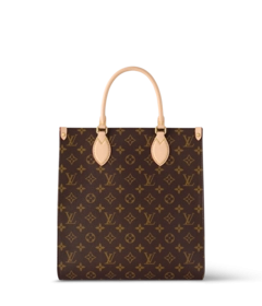 Louis Vuitton Louis Vuitton Sac Plat PM