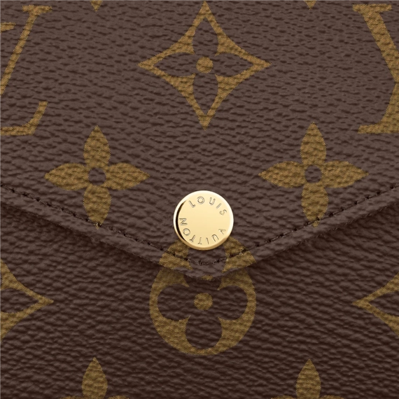 Louis Vuitton  Felicie Pochette