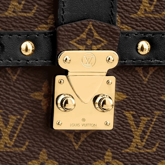 Louis Vuitton  Vertical Trunk Pochette