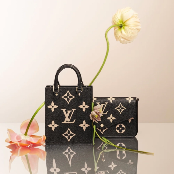 Louis Vuitton  Felicie Pochette