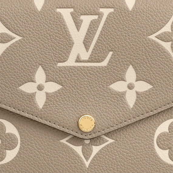 Louis Vuitton  Felicie Pochette