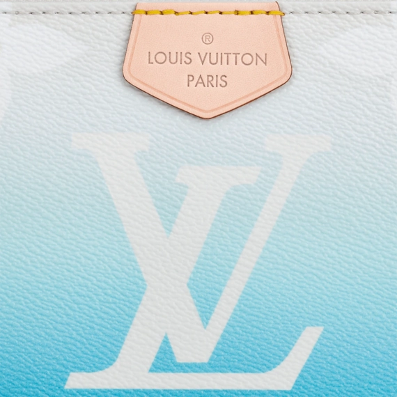 Louis Vuitton  Multi Pochette Accessoires