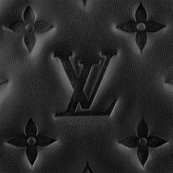 Louis Vuitton  Pochette Coussin