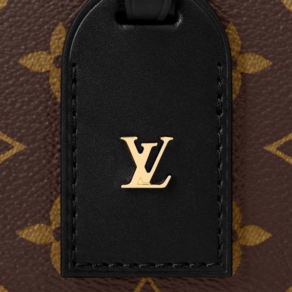 Louis Vuitton  Petite Malle Souple