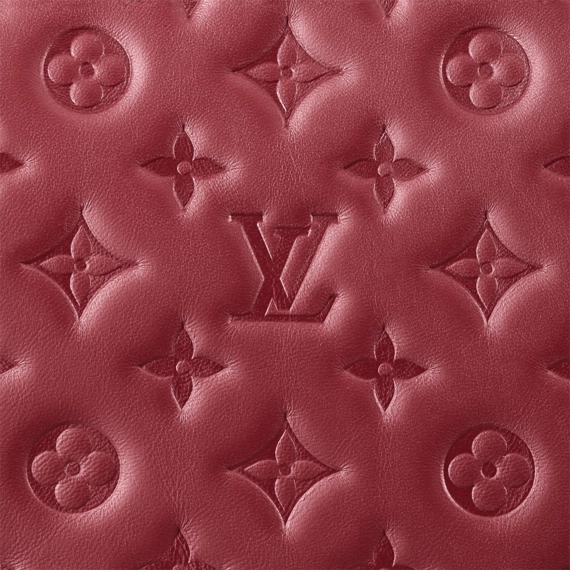 Louis Vuitton  Coussin PM