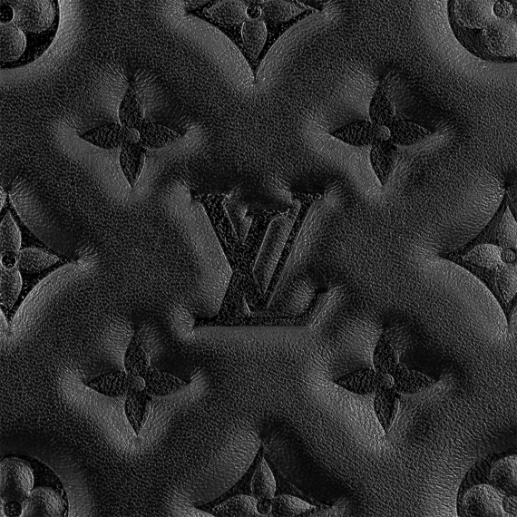 Louis Vuitton  Coussin MM