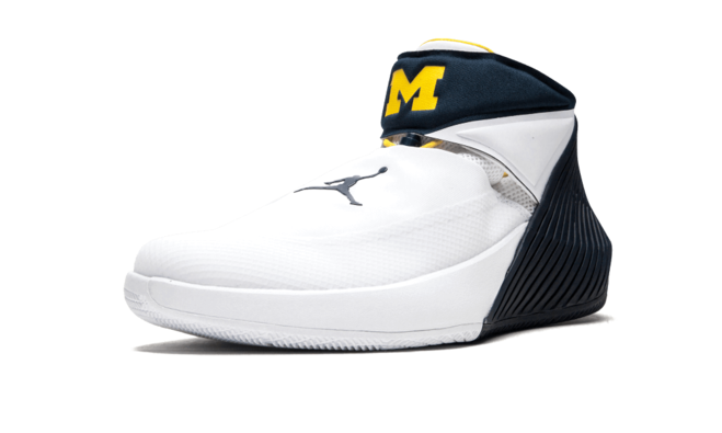 Air Jordan 31 Why Not Zero .1 Michigan PE