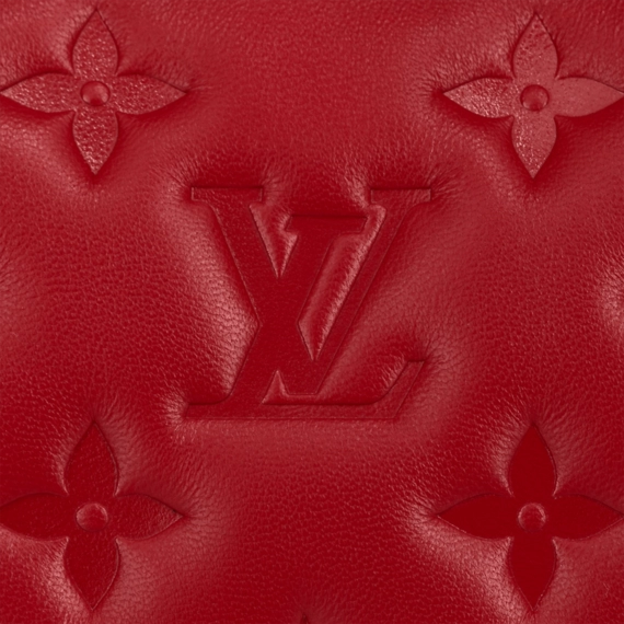 Louis Vuitton  Coussin BB