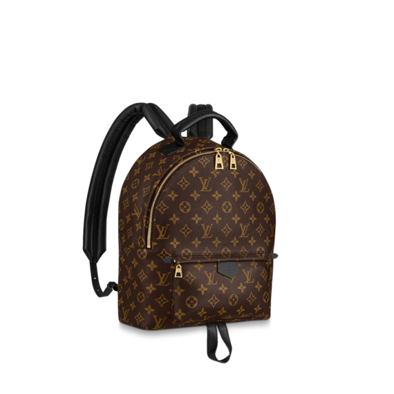 Louis Vuitton  Palm Springs MM