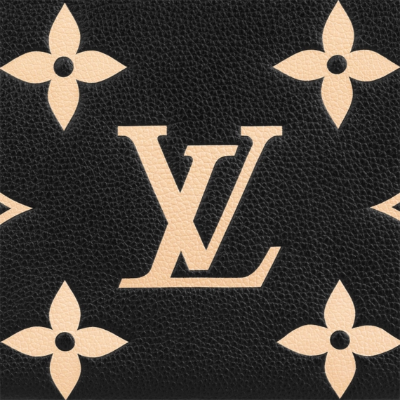 Louis Vuitton  Double Zip Pochette