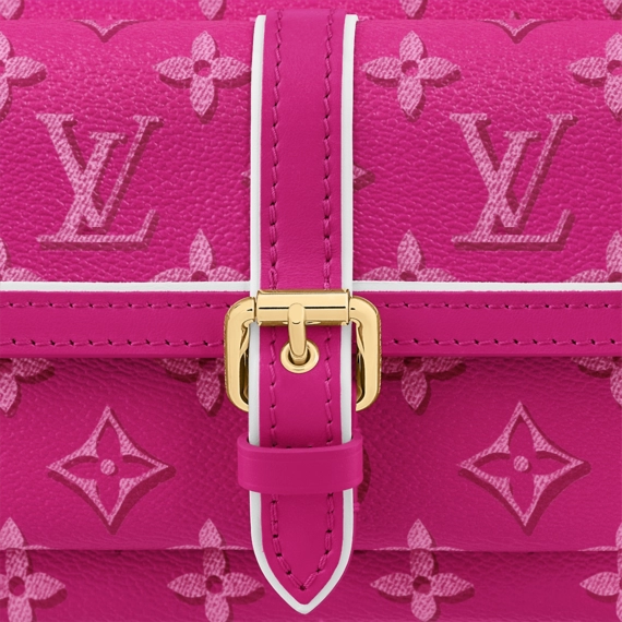 Louis Vuitton  Maxi Multi Pochette Accessoires