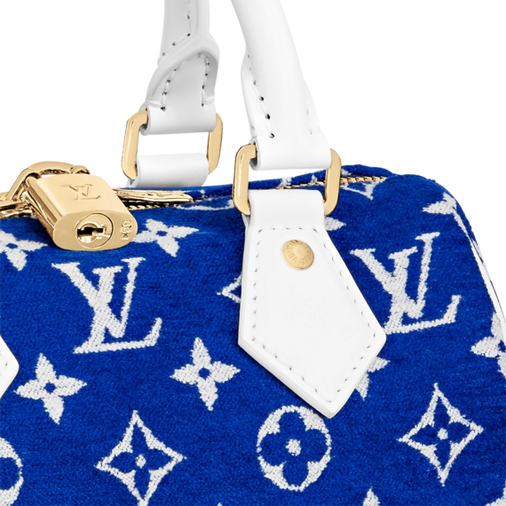 Louis Vuitton  Speedy Bandouliere 20