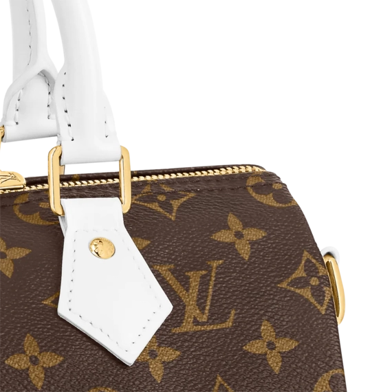 Louis Vuitton  Speedy Bandouliere 25