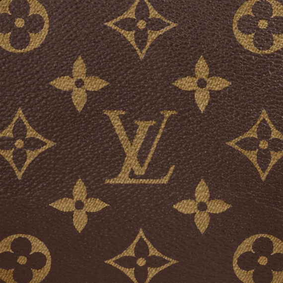 Louis Vuitton  Speedy Bandouliere 25