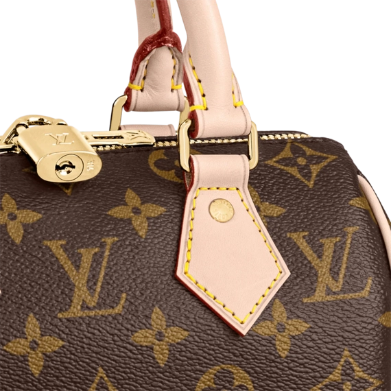 Louis Vuitton Speedy Bandouliere 20