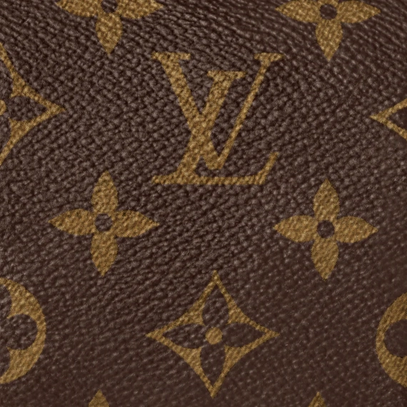 Louis Vuitton Nano Speedy