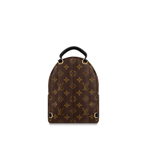 Louis Vuitton Palm Springs Mini