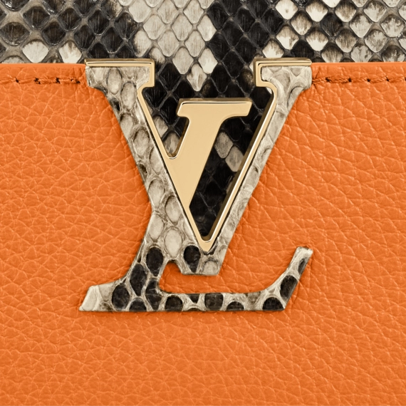 Louis Vuitton Capucines Mini