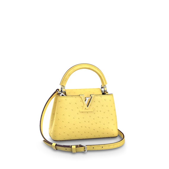 Louis Vuitton Capucines Mini