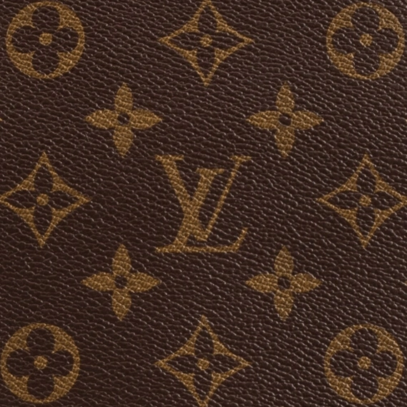 Louis Vuitton Neverfull PM