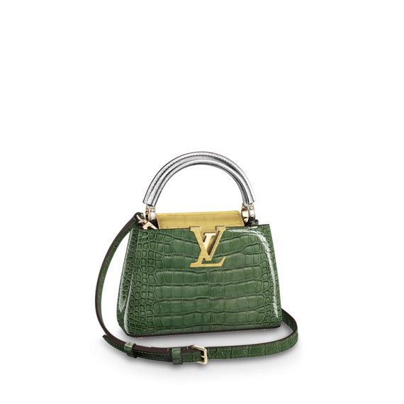 Louis Vuitton Capucines Mini