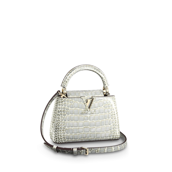 Louis Vuitton Capucines Mini