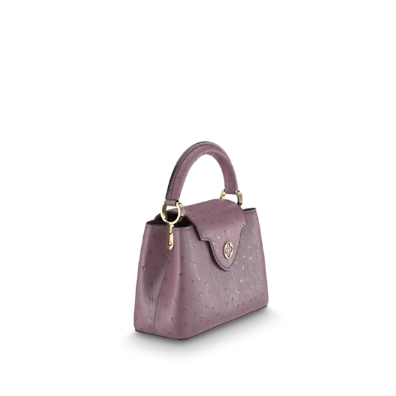 Louis Vuitton Capucines Mini Purple