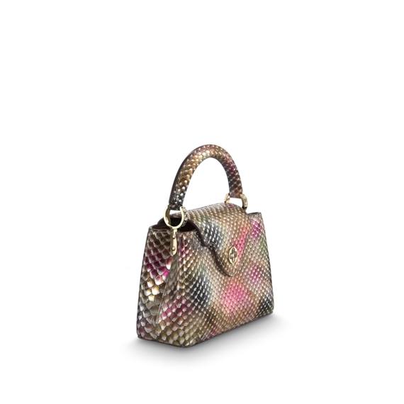 Louis Vuitton Capucines Mini mix of colors