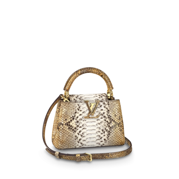 Louis Vuitton Capucines Mini Combination of brown and golden