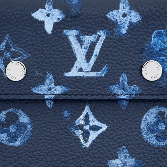 Louis Vuitton Phone Pouch