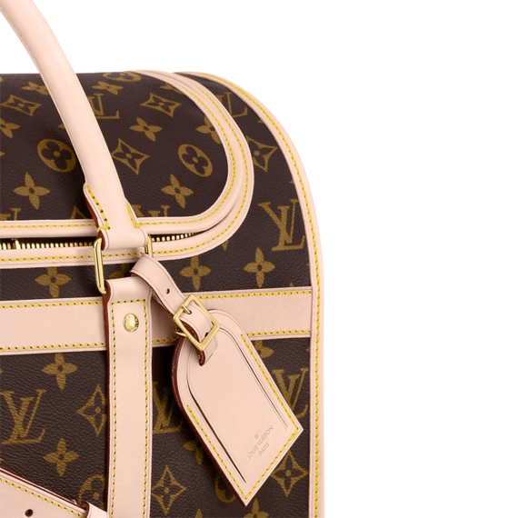 Louis Vuitton Dog Bag