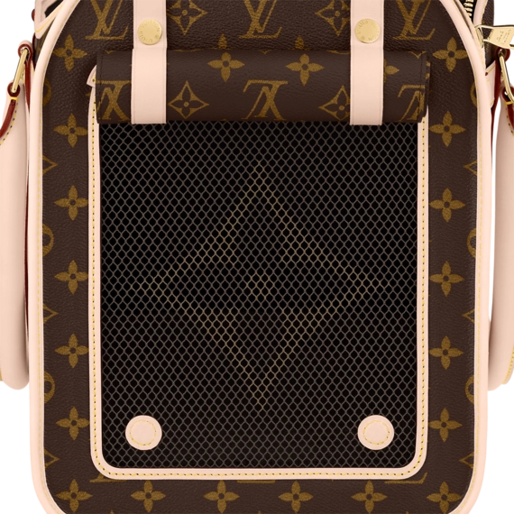 Louis Vuitton Dog Bag