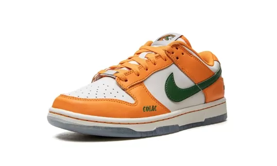 Nike Dunk Low - Florida A&M