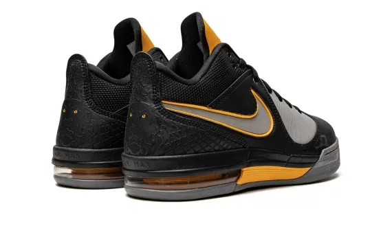 Nike Air Max Ambassador 4 - LeBron James Sample