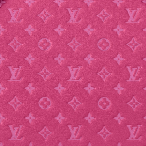 Louis Vuitton Speedy Bandoulière 20