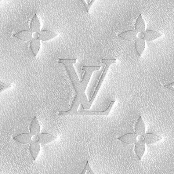 Louis Vuitton Coussin PM