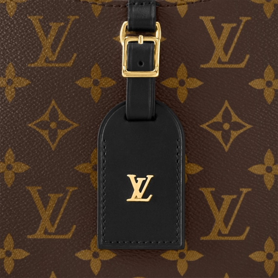 Louis Vuitton Odéon MM