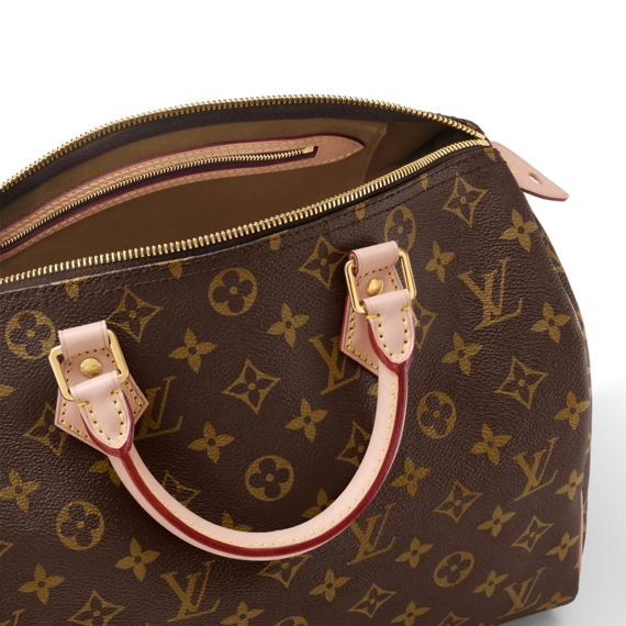 Louis Vuitton Speedy 30