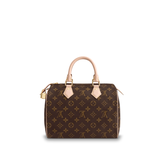 Louis Vuitton Speedy 25