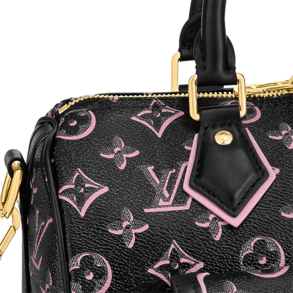 Louis Vuitton Speedy Bandoulière 25