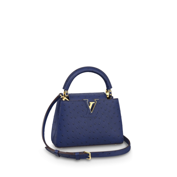 Louis Vuitton Capucines Mini